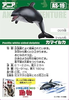 イルカアーミー フィギュア カラフル Amazon.co.jp: TAMASHII NATIONS COMPOSITE Ver.Ka VIRTUAROID